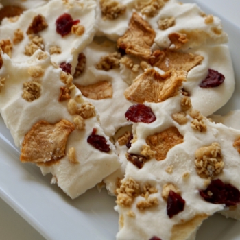 Image of yogurt bark topped with granola and dried fruit.