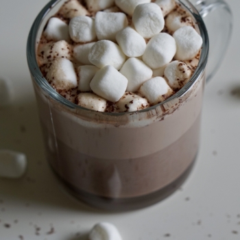 Image of hot chocolate in a mug topped with mini marshmallows