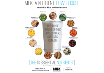 13 Essential Nutrients