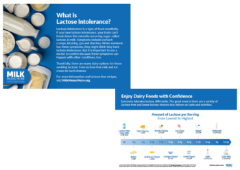 Lactose in Dairy Foods Postcards