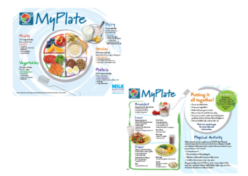 My Plate Handout for Adult (EN & ES)