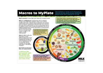 Macros to MyPlate