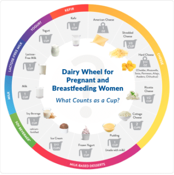 Dairy Wheel for Pregnant and Breastfeeding Women